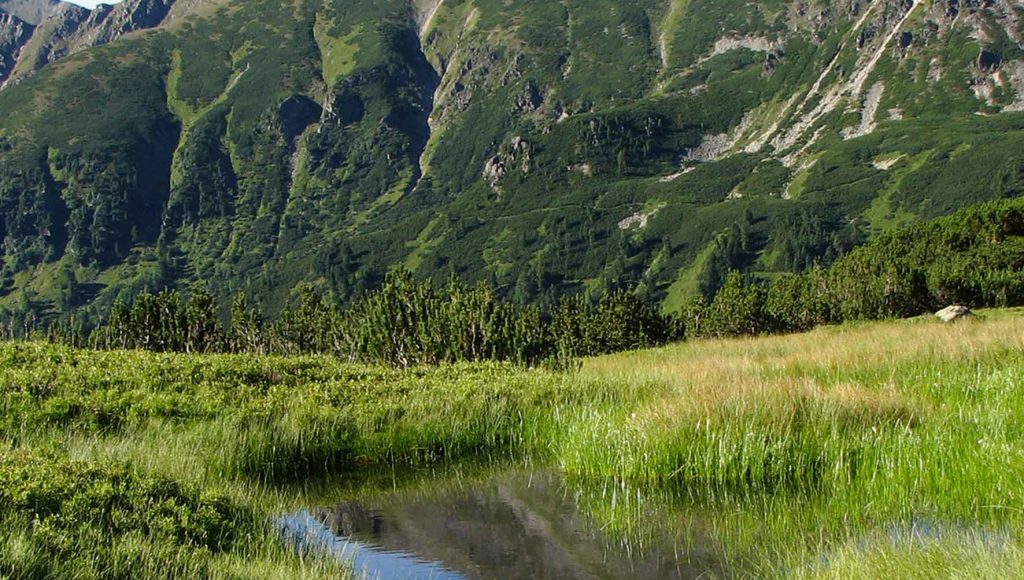 Sonntagskogel-voraus-2